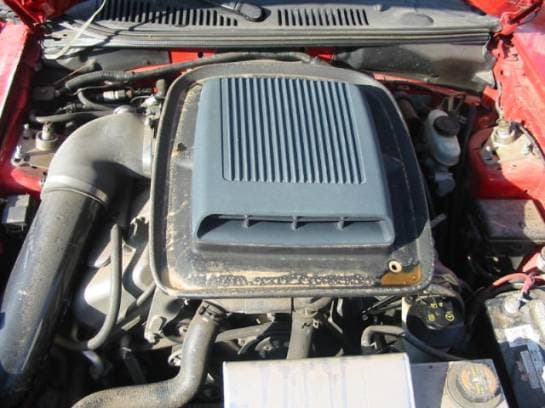 2003 Mach 1 Red 5 Speed - thumbnail 5