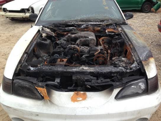 1994 Ford Mustang Cobra - thumbnail 8