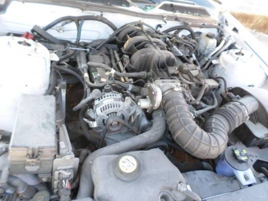 2006 Ford Mustang Coupe V6 thumbnail 5