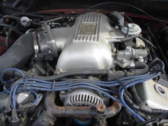1996 Ford Mustang Cobra 4.6 4V T-45 Five Speed - Red thumbnail 4