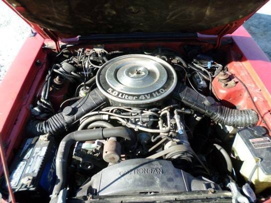 1984 Ford Mustang Convertible LOW MILEAGE thumbnail 5