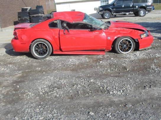 2003 Mach 1 Red 5 Speed thumbnail 2