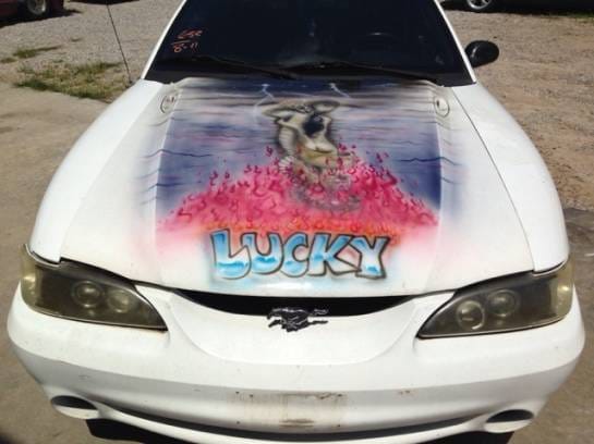 1994 Ford Mustang Cobra  thumbnail 6
