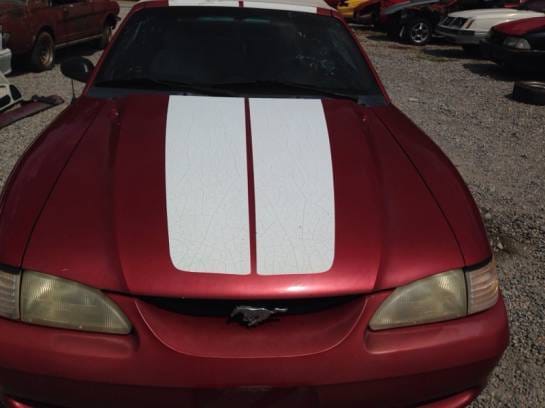 1994 Ford Mustang Convertible thumbnail 5