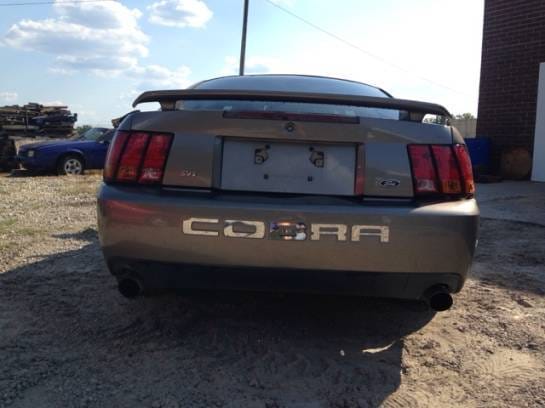 2001 Ford Mustang Cobra  thumbnail 3