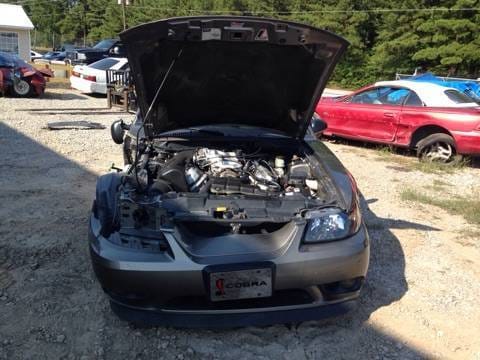 2001 Ford Mustang Cobra  thumbnail 7