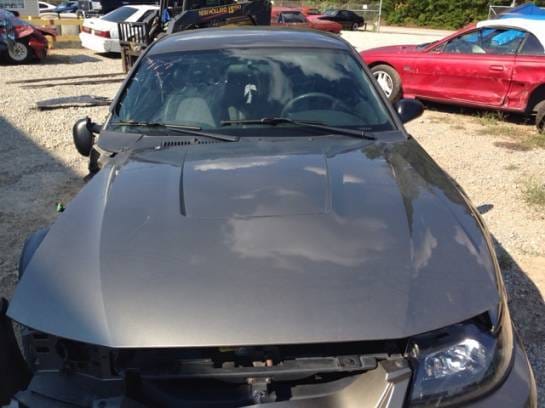 2001 Ford Mustang Cobra  thumbnail 4
