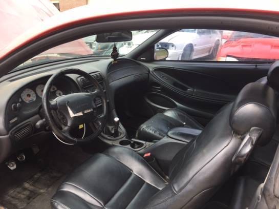 1998 Ford Mustang Cobra Red  thumbnail 5