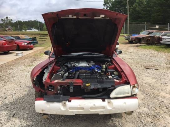 1998 Ford Mustang Cobra Red  thumbnail 4