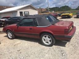 1983 Ford Mustang Convertible