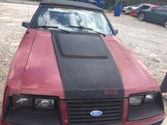1983 Ford Mustang Convertible thumbnail 5