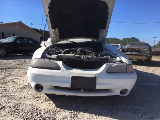 1994 Ford Mustang Cobra thumbnail 3
