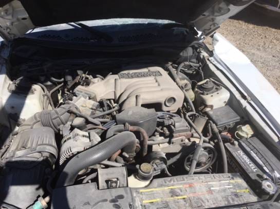 1994 Ford Mustang Cobra thumbnail 6