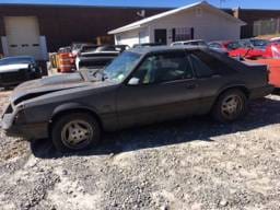 1983 Ford Mustang Hatch 
