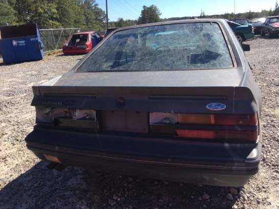 1983 Ford Mustang Hatch  thumbnail 3