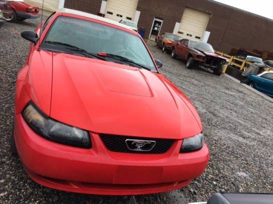 2003 Ford Mustang Convertible Red thumbnail 4
