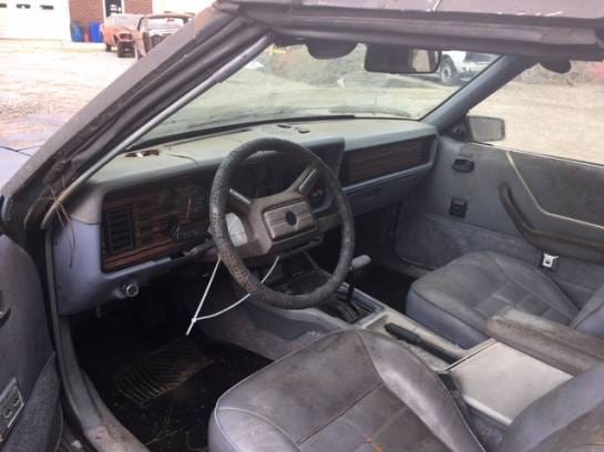 1983 Ford Mustang Convertible  thumbnail 5