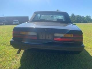 1983 FORD MUSTANG V6 CONVERTIBLE thumbnail 4