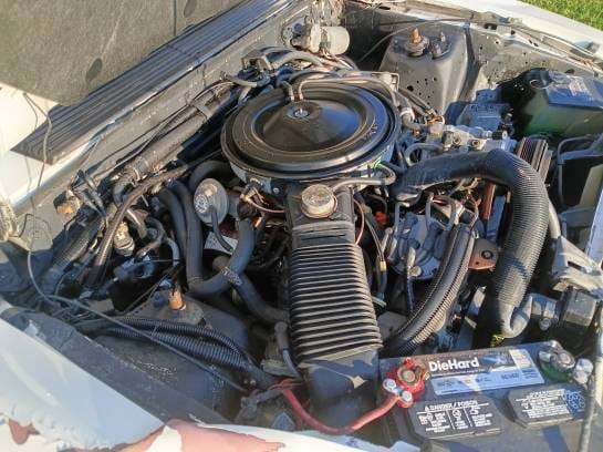 1983 mustang convertible 3.8L thumbnail 7
