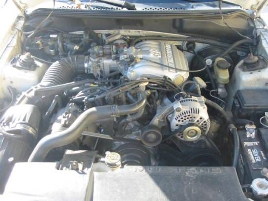 94-98 Ford Mustang Coupe 3.8 Manual - White