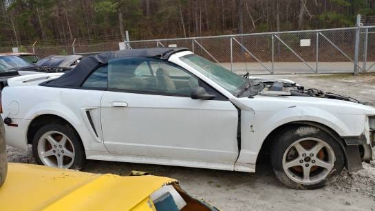 1999 Cobra Mustang Convertible