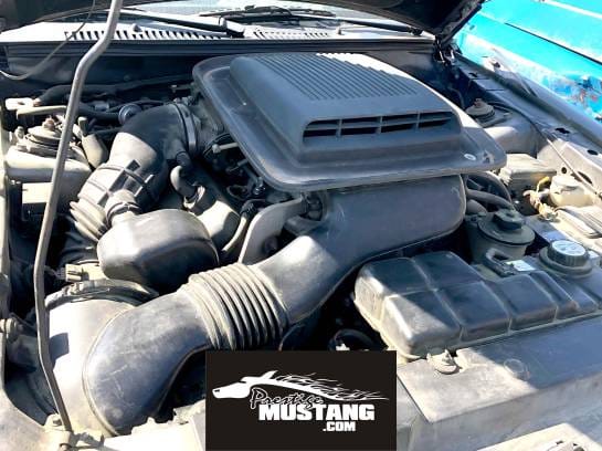 2003-2004 Mach 1 Complete Shaker Intake System