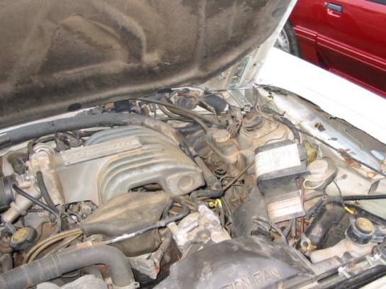 87-93 Ford Mustang Hatchback 5 Manual - White