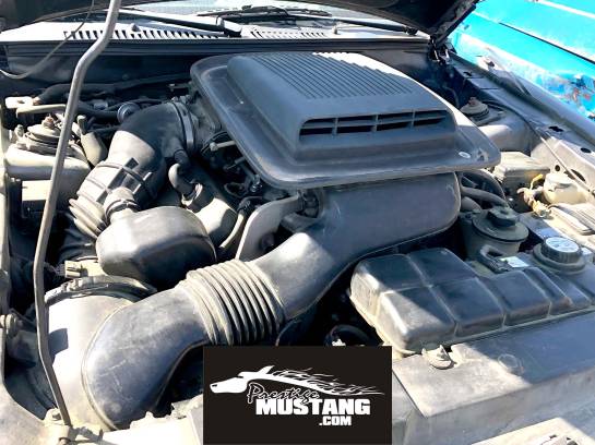 2003-2004 Mach 1 Complete Shaker Intake System