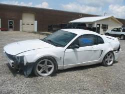 1999 Cobra Mustang Coupe