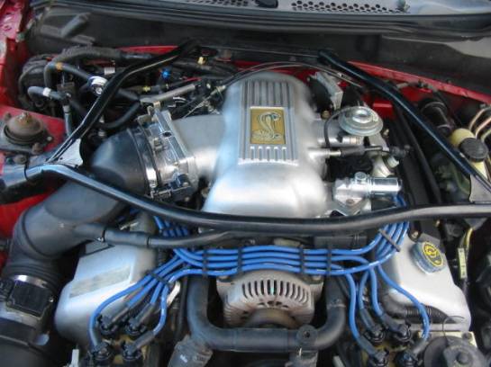 1998 Ford Mustang 4.6L DOHC T-45 - Red - Image 1