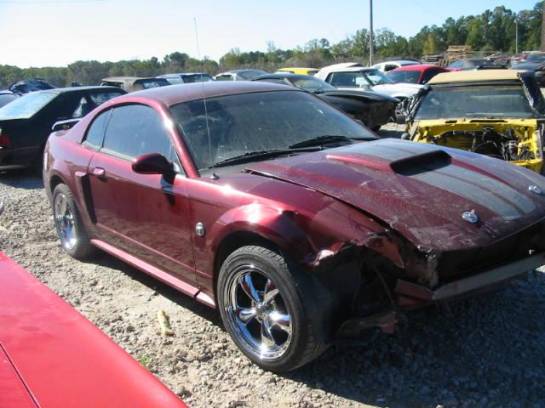 2001 Mustang GT Coupe - Image 1