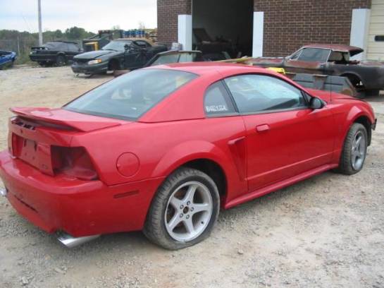 1999 Ford Mustang Cobra Coupe - Image 1