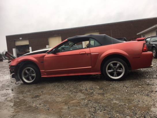2001 Ford Mustang Red Convertible - Image 1