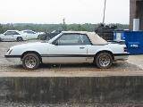 1985 Ford Mustang 5.0 - White - Image 2