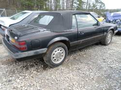 1985 Mustang Convertible - Image 2