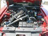 1999 Ford Mustang 5.4 8 cyl. T-45 Five Speed- Burgundy - Image 2