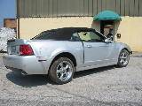 2003 Ford Mustang 4.6 Cobra 6 Speed- Silver - Image 2
