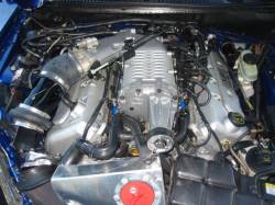 2003 Ford Mustang 4.6L DOHC S/C T-56- Sonic Blue