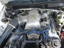 1996 Ford Mustang COBRA 4.6 4V T-45 Five Speed - White - Image 4