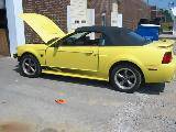 2003 Ford Mustang 4.6 L V8 Automatic- Yellow - Image 2
