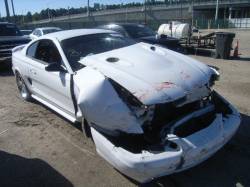 94-98 Ford Mustang Coupe 4.6 Manual - White - Image 4