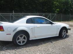 1999 Cobra Mustang Coupe - Image 2
