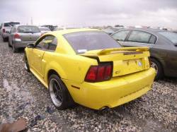 2000 Mustang GT Coupe 4.6 SOHC T-45 Manual Transmisson - Image 2