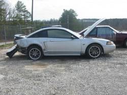 2001 Mustang GT Coupe- 5 Speed - Image 1