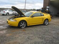 99-04 Ford Mustang Coupe 4.6 Automatic - Yellow