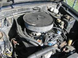 83-86 Ford Mustang Hatchback 5 Manual - Black - Image 3