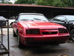 87-93 Ford Mustang Convertible 5 N/A - Red - Image 3