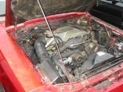 87-93 Ford Mustang Convertible 5 N/A - Red - Image 5