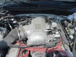 94-98 Ford Mustang Coupe 4.6 DOHC Manual - White - Image 5