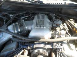 1996 Ford Mustang Mystic Cobra 4.6 DOHC T-45 - Image 7